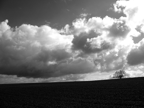 The top of Meon Hill