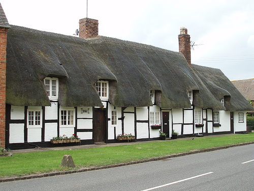 Houses in the village